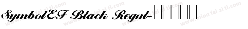 SymbolEF Black Regul字体转换